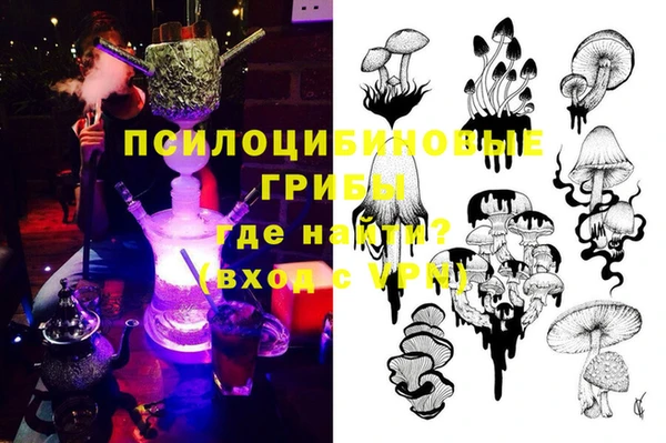 стаф Алзамай