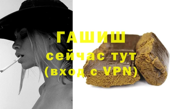 стаф Алзамай