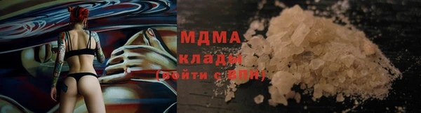 стаф Алзамай