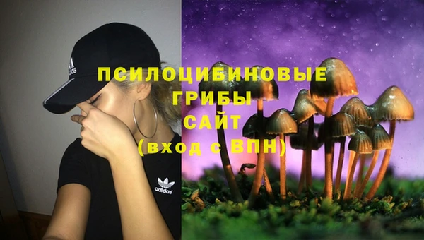 стаф Алзамай